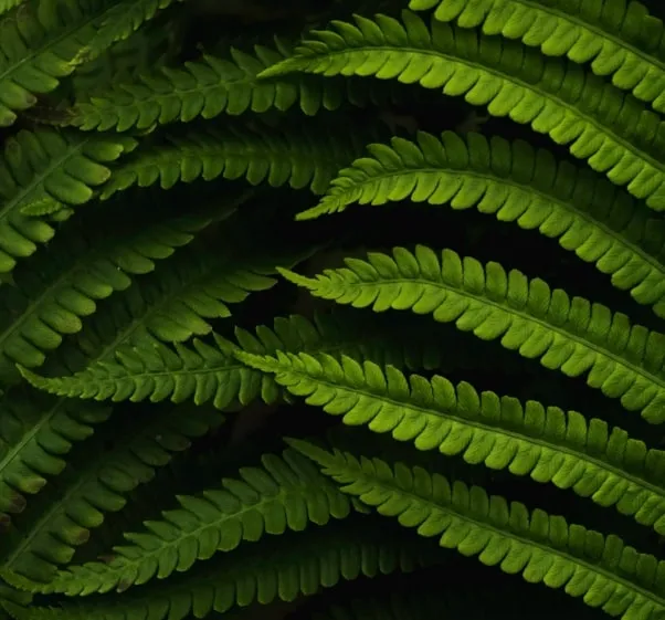 خدمات شماره 3